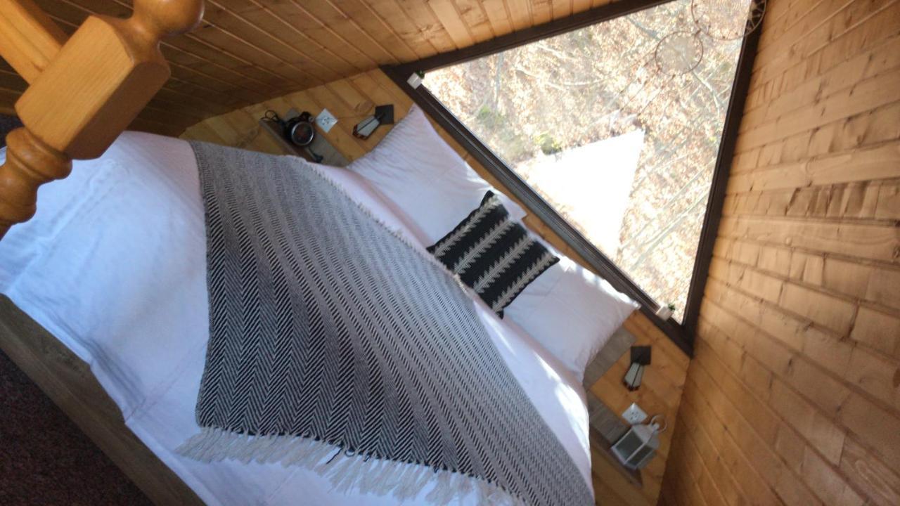 Casutele De Sub Padure Hotel Felek Kültér fotó