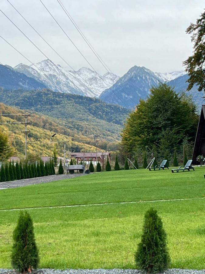 Casutele De Sub Padure Hotel Felek Kültér fotó