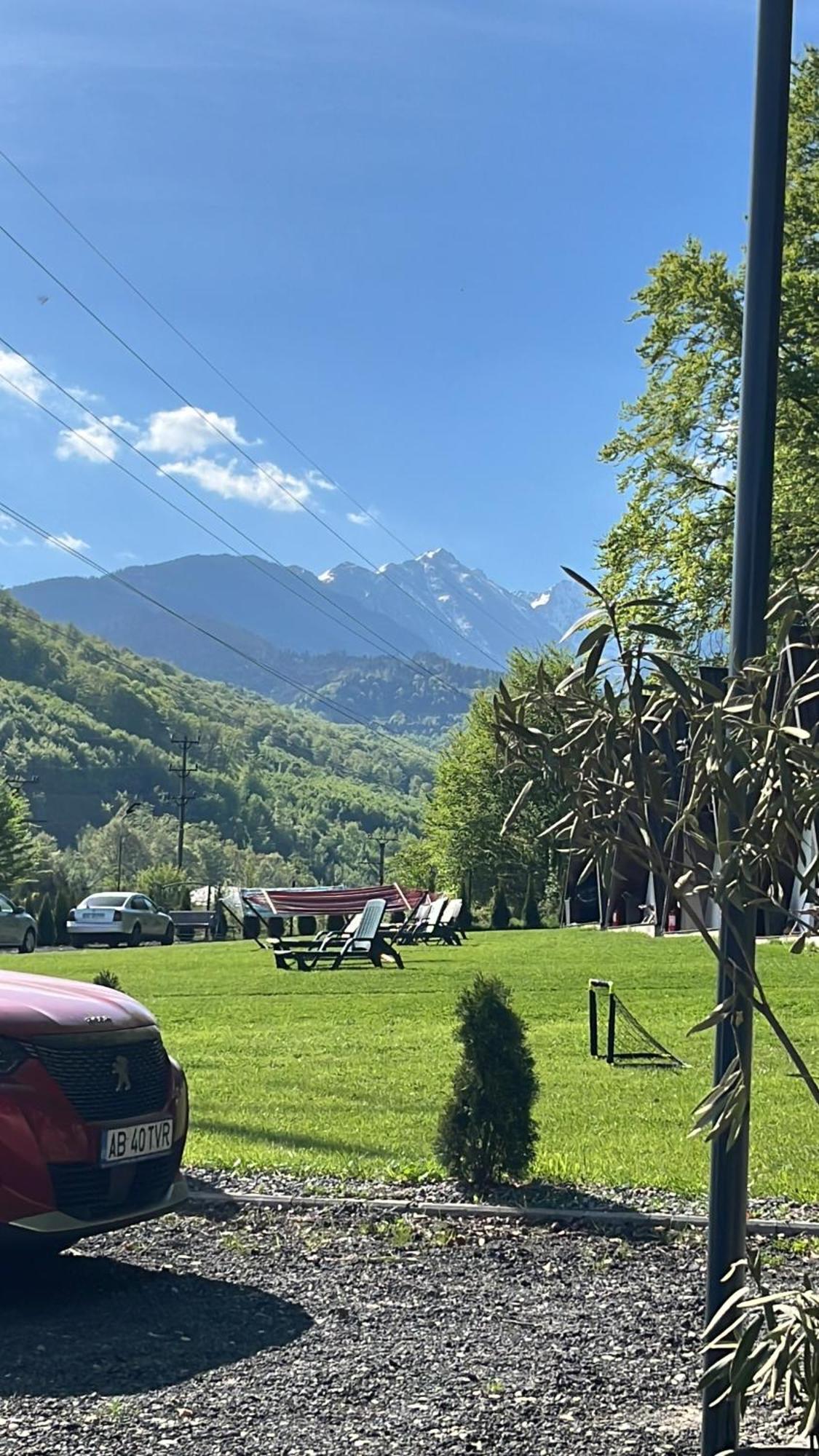 Casutele De Sub Padure Hotel Felek Kültér fotó